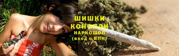 СК Елизово