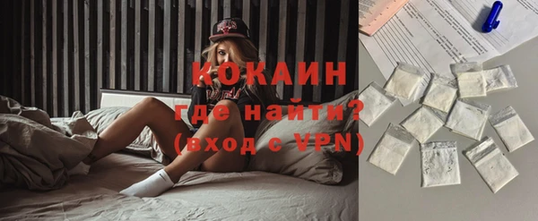 шишки Ельня
