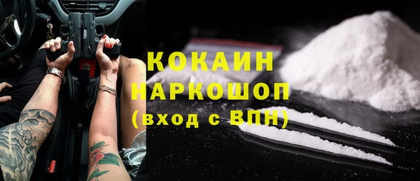 шишки Ельня