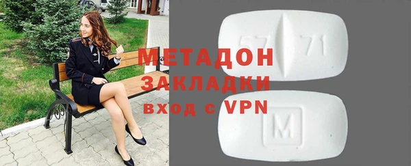 шишки Ельня