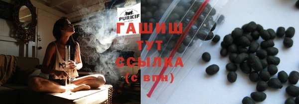 СК Елизово