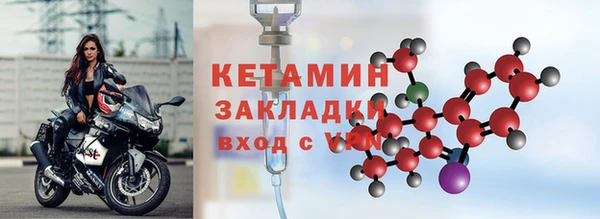 шишки Ельня