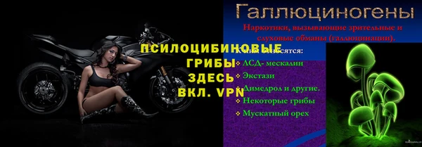 шишки Ельня