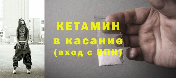 шишки Ельня