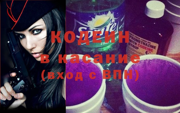шишки Ельня
