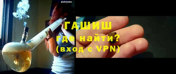 шишки Ельня