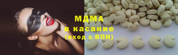 шишки Ельня