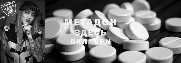 шишки Ельня