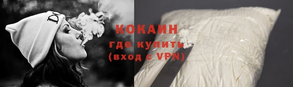 СК Елизово