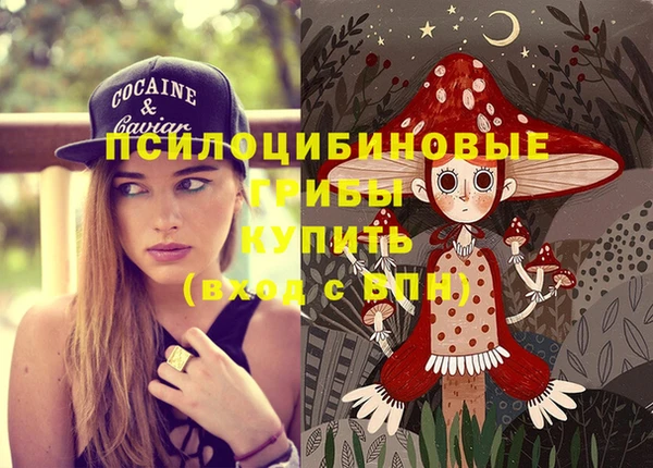 СК Елизово