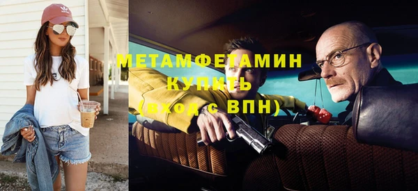 шишки Ельня