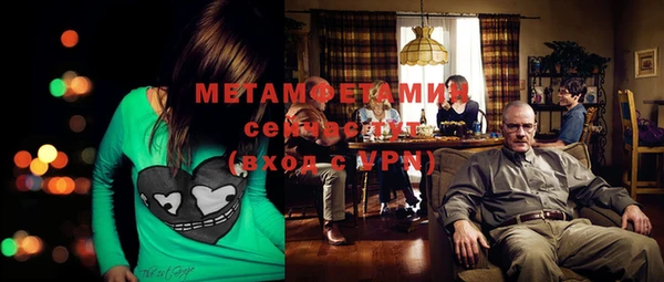 шишки Ельня