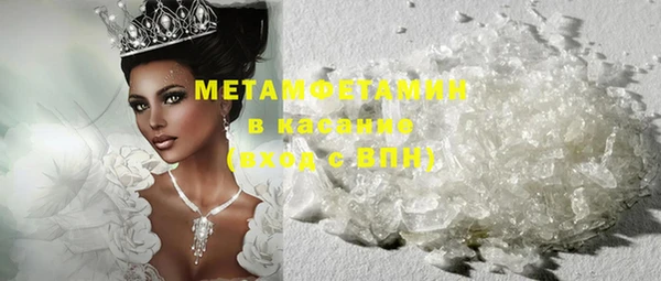 шишки Ельня