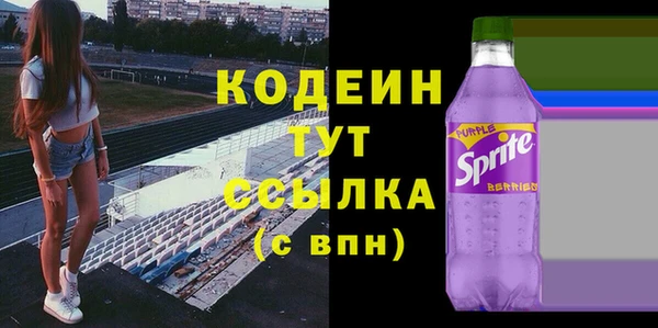 СК Елизово