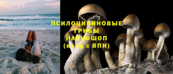 СК Елизово