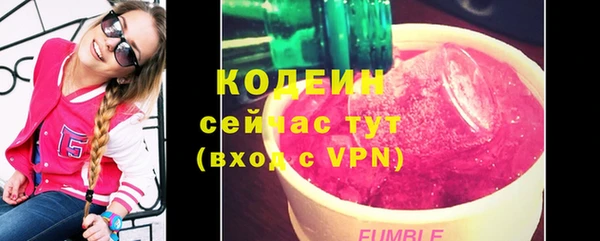шишки Ельня