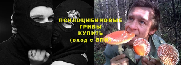 гидропоника Елабуга