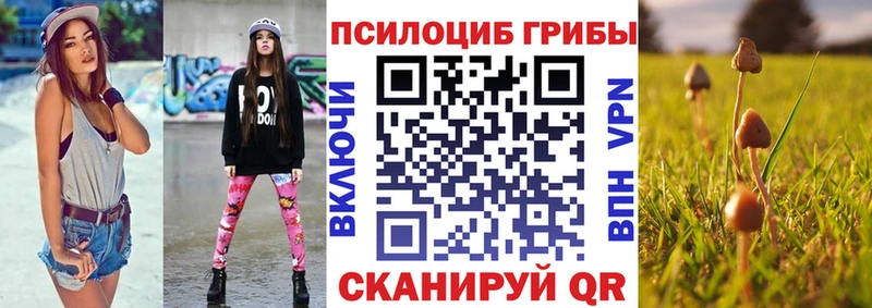 Псилоцибиновые грибы Cubensis  Купить где  Алагир 