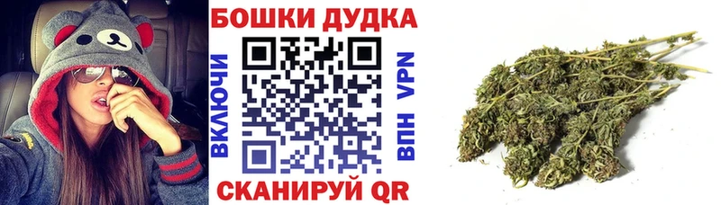 Купить закладки  Алагир  Конопля конопля 